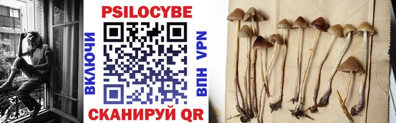 Галлюциногенные грибы Psilocybe Удомля