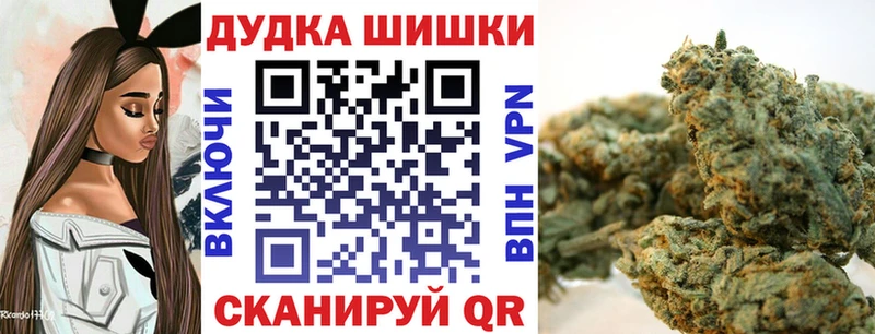 Бошки Шишки сатива  Удомля 